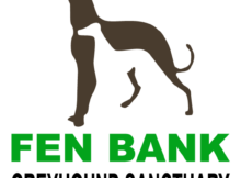 Fen Bank Greyhounds Logo